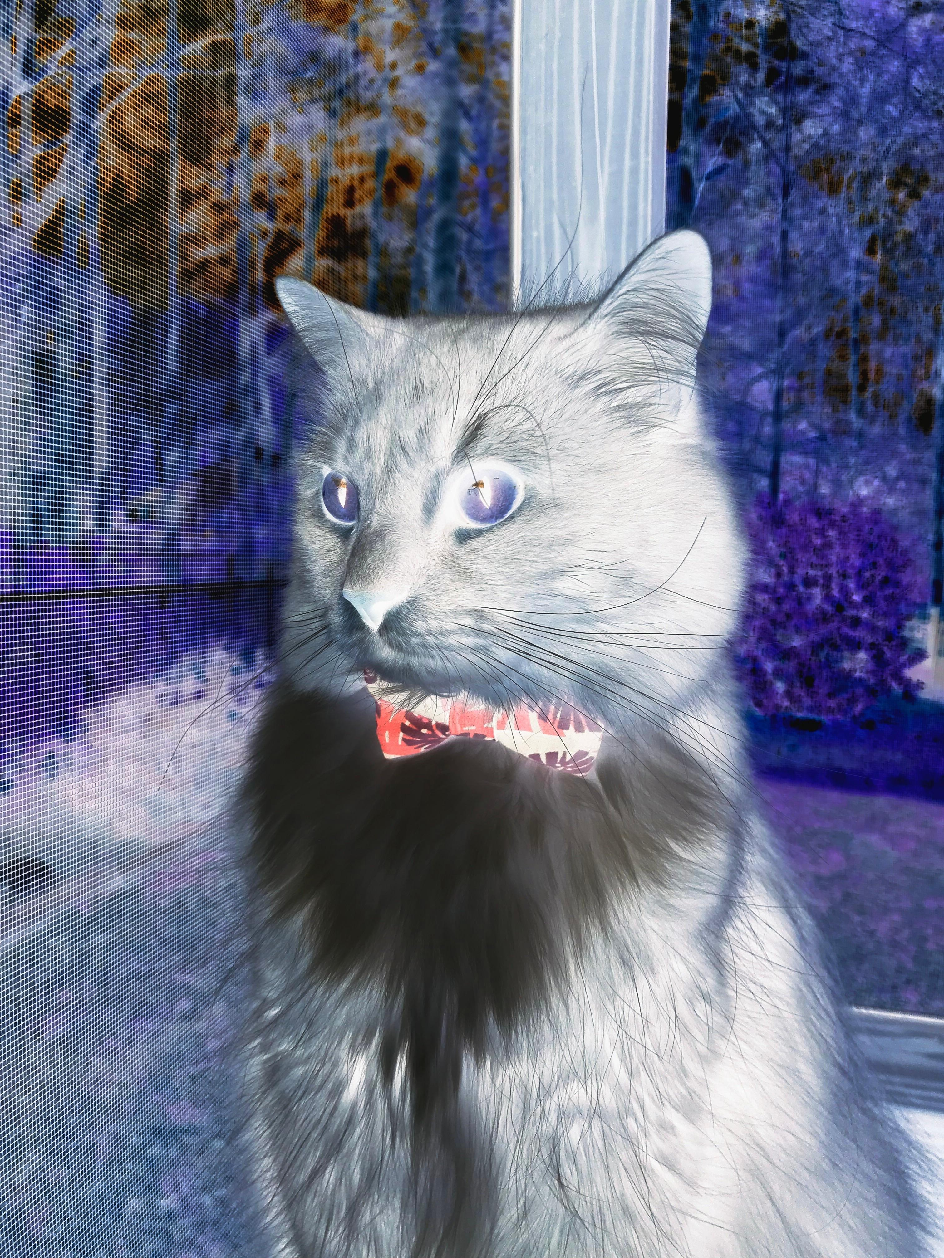 新秀表现超预期球队如何调整计划,新秀球员什么意思