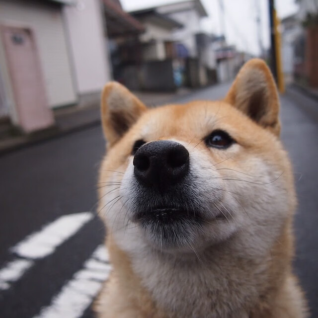 塔图姆强调防守端的轮转为胜利关键，塔图姆防守能力