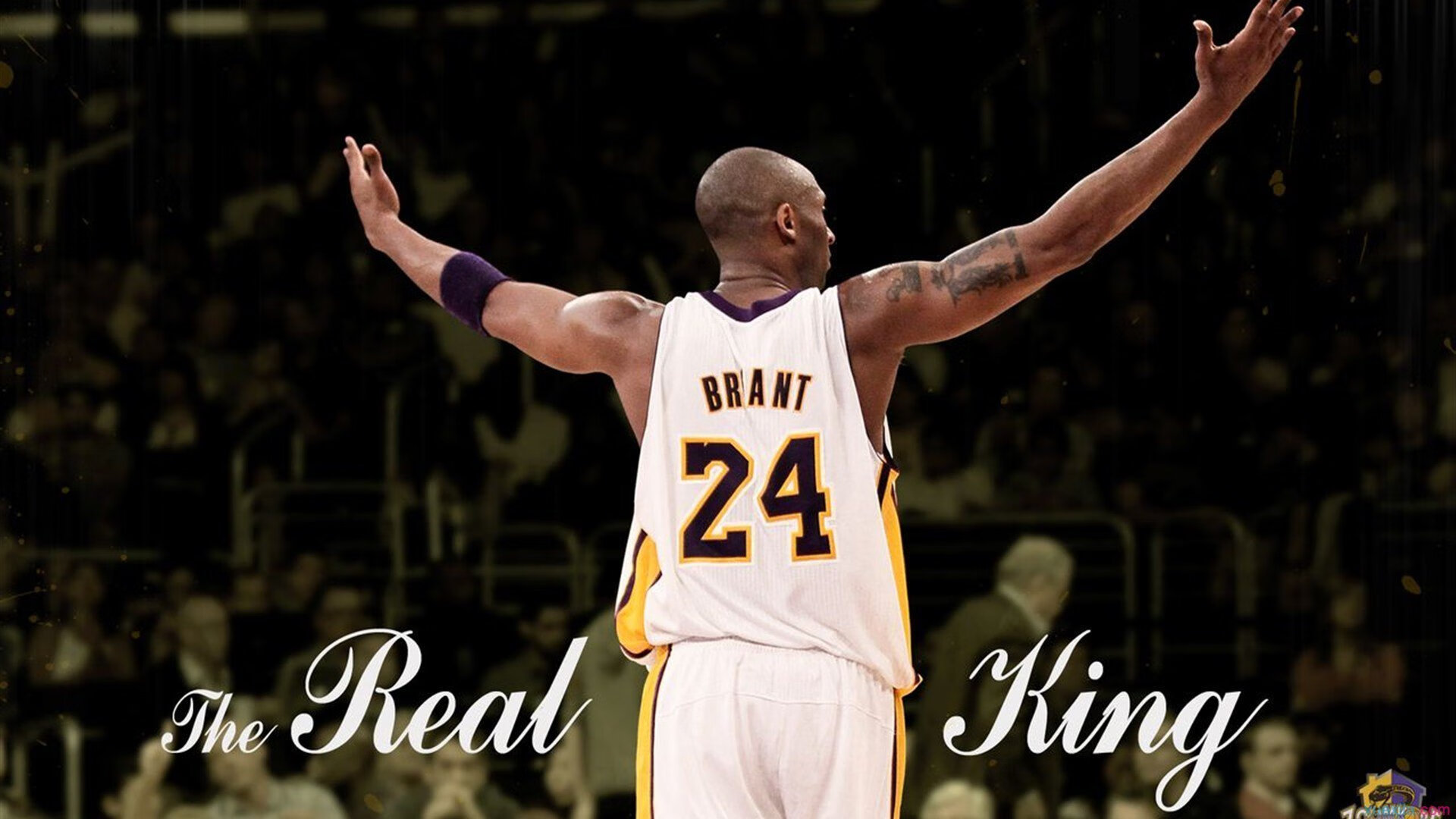 福特的球场智慧和全局把控让全黑队的攻防更加有序，福特中心球场